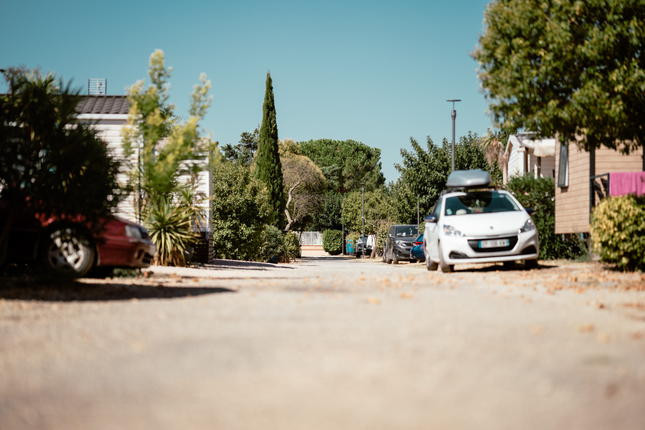 Bellevue en Camargue