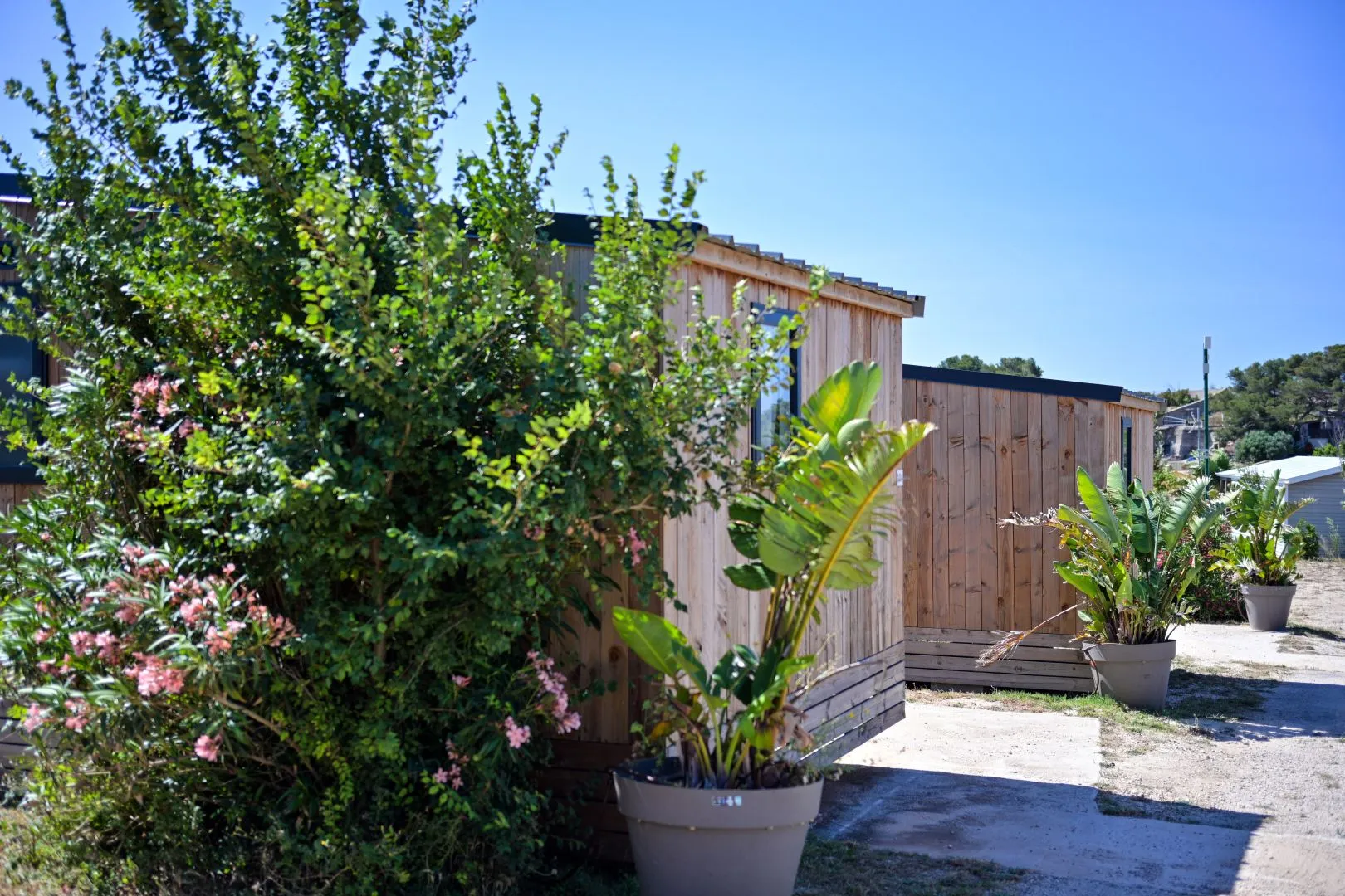 Camping Lou Cigalon