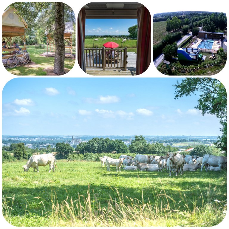 Camping de La Guyonnière
